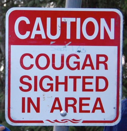 Friendly neighbourhood sign.